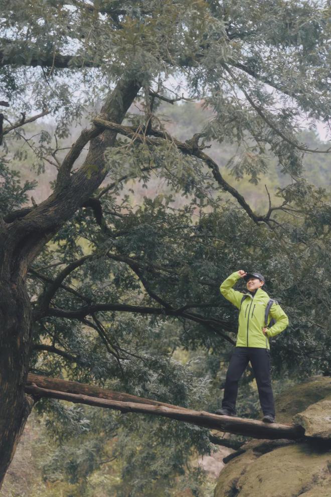 门徒平台：“退一步”是骗局：她们涌入山中，把世界越走越大